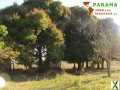 Foto Piribebuy - Paraguay: Natur belassenes Grundstück mit individueller Neubebauung