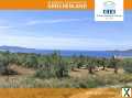 Foto Griechenland - Grundstück - Südwest-Peloponnes: Nur 600 Meter zum Strand - mit unverbaubarem Meerblick