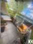 Foto TAUSCH: 2-Zimmer-Wohnung mit großem Balkon
