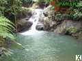 Foto Golfito - Pazifik Süd - COSTA-RICA: wunderschöne Naturfarm von 164 ha, mit vielen Wasserfällen und Urwald