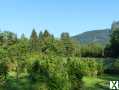 Foto Wohnen wie in einer Doppelhaushälfte mit eigenem Garten in idyllischer Naturrandlage!