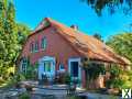 Foto Landhaus auf idyllischem Grundstück - Haus mieten - Natur