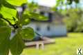 Foto Leben inmitten von Natur und Dorf: Wohnhaus mit landwirt. Flächen