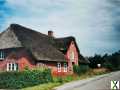 Foto Reetdachhaus Nähe Dagebüll an der Nordsee zu vermieten