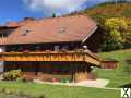 Foto Schwarzwald Idyll in bester Sonnen-/Aussichtslage auf dem Schönen