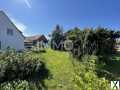 Foto Einfamilienhaus mit großem Grundstück in Lissa