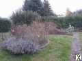 Foto Grosszügiges Reihenendhaus in Grünen mit einem wunderschönen großen Garten