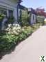 Foto Renovierter, heller Bungalow, Garten, Garage, Gartenhaus, Privat