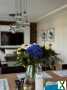 Foto modernes Einfamilienhaus, Smart-Home, Pool, Garage, Wellness, am Jungfernsee, provisionfrei