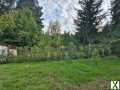Foto Verkaufe Garten