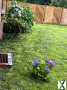 Foto Haus mit Garten zu vermieten