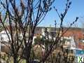Foto Einfamilienhaus DH Senden/Iller