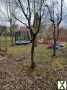 Foto 262 m2 Gartenlandgrundstück in Nörten-Hardenberg