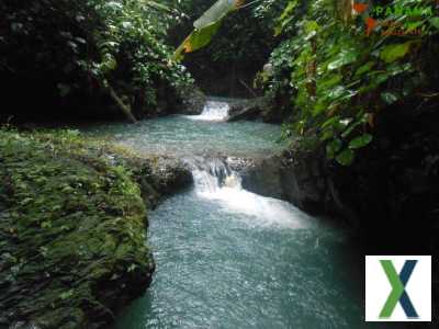 Foto Costa Rica - COSTA-RICA: Farm mit 31 ha, schönen Wasserfällen und viel Urwald bei la Julieta