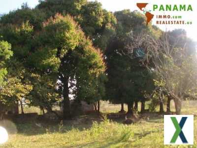 Foto Paraguay: Natur belassenes Grundstück mit individueller Neubebauung
