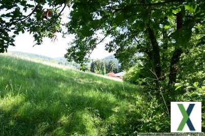 Foto Baugrundstück in 67752 Wolfstein