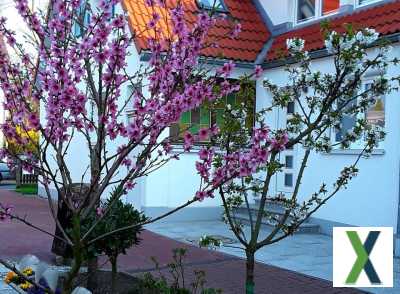 Foto Haus mit Garten u Wintergarten in Erlangen