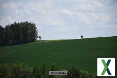 Foto Grundstück mit desolater Bausubstanz und Waldflächen