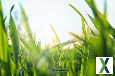 Foto Landwirtschaftsfläche - provisionsfrei