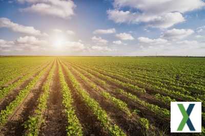 Foto Unbebautes Grundstück, sowie Landwirtschaftsflächen